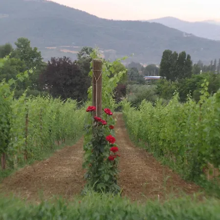 Apartment Agritourismus Le Vigne Di Pace - Taubenhaus By Interhome *